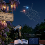 Gemini constellation